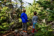 Two boys standing in a forest, Lake Superior Provincial Park, United States — Stock Photo