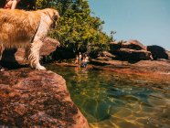 Vater mit drei Kindern und Hund in Lake Superior, USA — Stockfoto