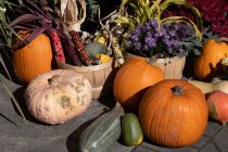 Decorazioni autunno zucca, zucca e pannocchia di mais — Foto stock
