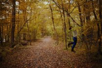 Мальчик свисает с ветки дерева в лесу, США — стоковое фото