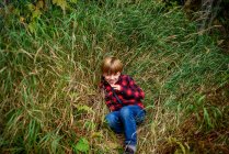 Усміхнений хлопчик зі швами на обличчі сидить у довгому траві, на озері вище провінційного парку, об 