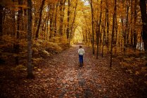 Junge läuft im Frühherbst auf einem Fußweg im Wald, USA — Stockfoto