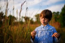 Retrato de um menino de pé em um campo ao pôr do sol segurando grama longa, Estados Unidos — Fotografia de Stock
