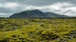 Eldhraun Lava Field perto da aldeia de Kirkjubaejarklaustur, na Islândia do Sul. — Fotografia de Stock