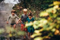 Três crianças andando em um riacho, Estados Unidos — Fotografia de Stock