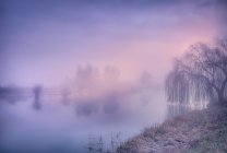 Paesaggio nebbioso in Italia — Foto stock