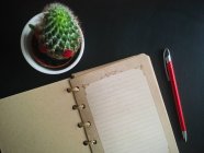 Overhead view of an open notebook and pen next to a cactus — Stock Photo