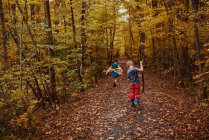 Мальчик и девочка гуляют по лесу ранней осенью, США — стоковое фото