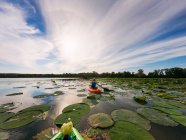 Boy kayaking in lake filled with water lilies — Stock Photo