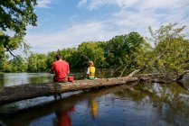 Vater und Sohn sitzen auf einem umgestürzten Baum und fischen in einem Fluss, Vereinigte Staaten — Stockfoto