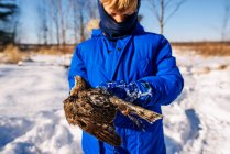Boy standing in the snow holding an injured hawk, United States — Stock Photo
