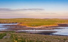 Прибрежный пейзаж на закате, Оркнейские острова, Шотландия, Великобритания — стоковое фото
