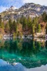 Réflexions montagneuses et forestières dans le lac Blausee, vallée de Kander, Oberland Bernois, Suisse — Photo de stock