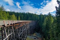Kinsol Trestle, The Cowichan Valley, Vancouver Island, Vancouver, British Columbia, Canada — Stock Photo