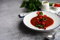 Schüssel Tomatensuppe mit frischem Chili und Petersilie — Stockfoto