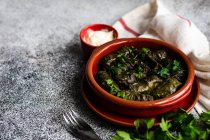 Traditional Georgian tolma dish — Stock Photo
