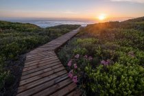 Wooden boardwalk through fynbos and sand dunes leading to the ocean, Yzerfontein, Cape Town, Western Cape, South Africa — Stock Photo