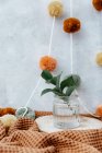 Cozy interior of home decor with plants and flowers, selective focus — Stock Photo