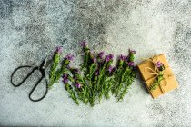 Frische Lavendelblüten im Geschenkkarton-Konzept auf Betongrund — Stockfoto