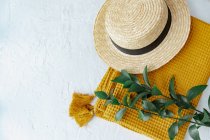 Top view of straw hat and scarf with green branch on concrete surface — Stock Photo
