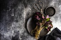 Свежая органическая базиликовая трава на черной тарелке с семенами на бетонном фоне — стоковое фото