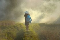 Vista trasera de una mujer caminando a través de un arrozal en la niebla, Tailandia - foto de stock