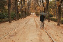 Veduta posteriore di un uomo che cammina lungo una strada alberata attraverso il parco, Madrid, Spagna — Foto stock