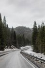 Зимова дорога з засніженими деревами та хмарним небом — стокове фото