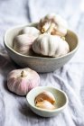 Raw garlic gloves in the bowl on stone background — Foto stock