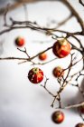Concepto de tarjeta navideña con ramas secas decoradas con bolas rojas en interior de hormigón gris - foto de stock