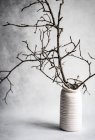 Minimalistic interior decoration with white vase with dry tree branches — Stock Photo