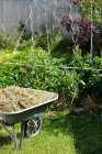Brouette avec foin dans la scène de jardin vert — Photo de stock