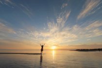 Щаслива безтурботна жінка, яка насолоджується чудовим заходом сонця на березі моря — стокове фото