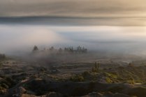Bela névoa vista sobre o vale da montanha de manhã — Fotografia de Stock