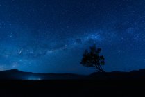 Plan panoramique de la galaxie de la voie lactée la nuit — Photo de stock