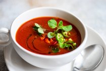 Літній томатний суп, який подають у мисці зі спеціями та травами на бетонному фоні — стокове фото