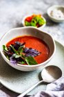 Zuppa estiva di pomodoro servita in una ciotola con spezie ed erbe su sfondo concreto — Foto stock