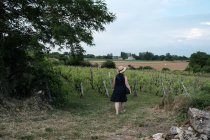 Vue arrière d'une femme marchant dans un champ de vignes, France — Photo de stock