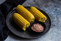 Piatto di pannocchie di mais con sale himalayano rosa — Foto stock