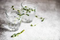 Two martini cocktails with ice cubes and oregano garnish — Stock Photo