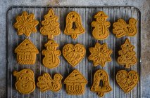 Christmas gingerbread cookies variety on kitchen table — Stock Photo