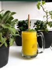 Homemade mango smoothie with bamboo straw next to potted plants — Stock Photo