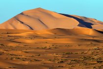 Dunas de arena en el desierto, Arabia Saudita - foto de stock