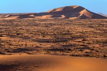 Soleada escena del desierto con cielo azul - foto de stock