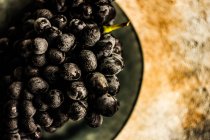 Червоний виноград в тарілці, крупним планом — стокове фото