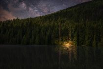 Campfire on lakeshore by forest at night with starry sky — Stock Photo