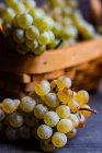 Close Up shot of bunch of grapes on table next to basket filled with grapes — Stock Photo