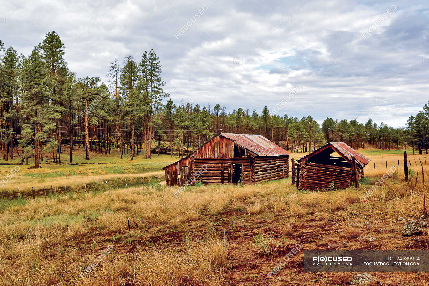 Old abandoned cabin — vibrant, recreation - Stock Photo | #124539904