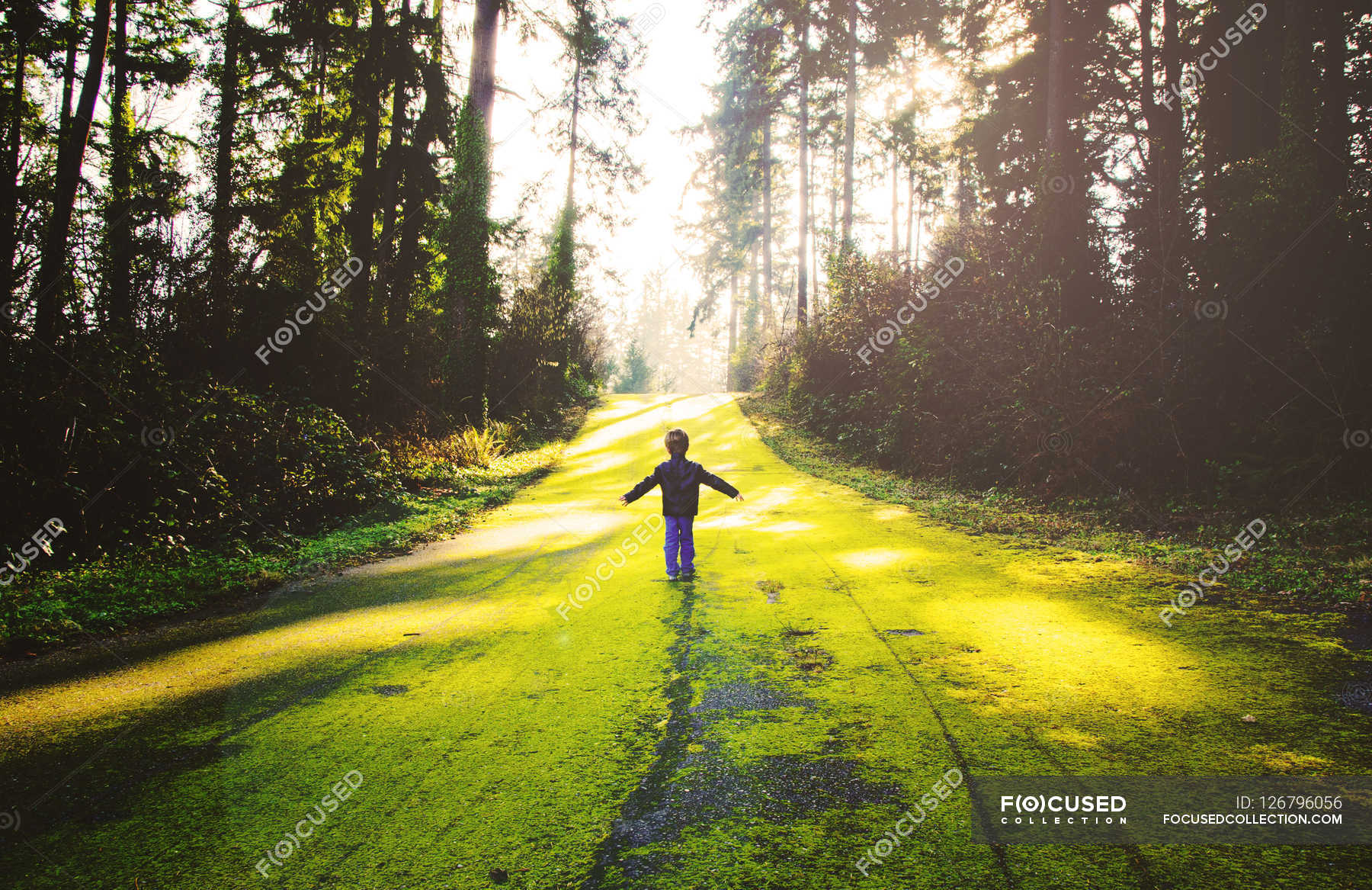 Фото парня в лесу