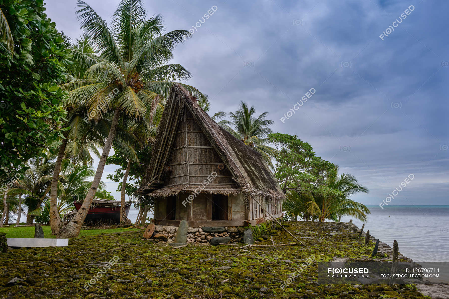 Traditional house in Micronesia — leaves, trees Stock Photo 126796714